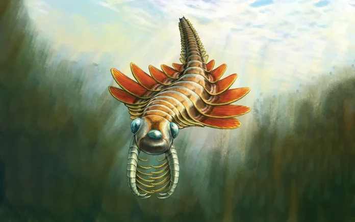 Flutura e detit me tre sy: Një krijesë e çuditshme që notonte para 506 milionë vjetësh