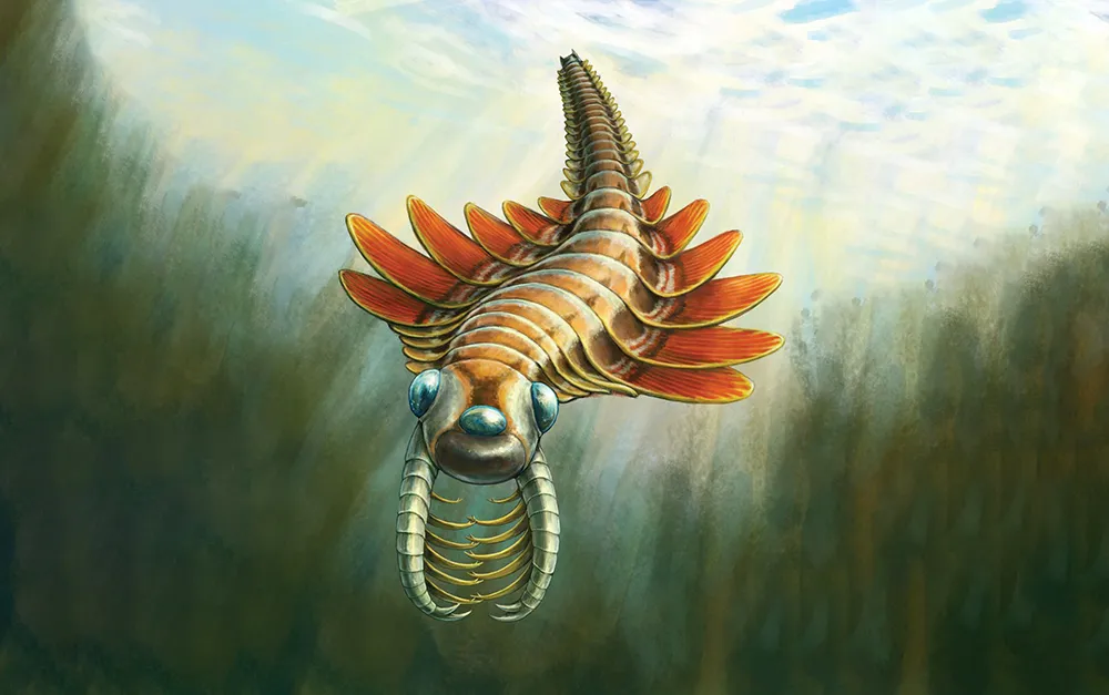 Flutura e detit