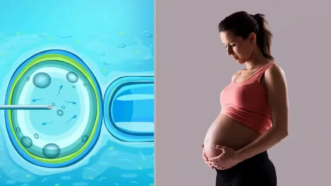 IVF