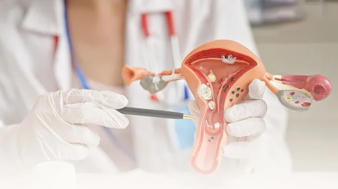 Çfarë duhet të dimë për shëndetin riprodhues?