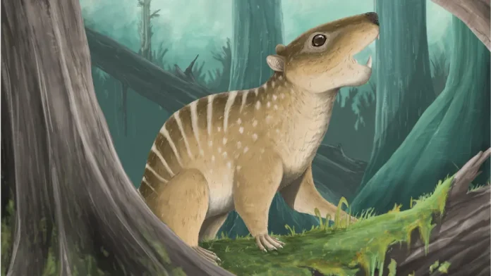 Fosili i një gjitari me dhëmbë të mprehtë që jetoi mes dinosaurëve zbulohet në Angli