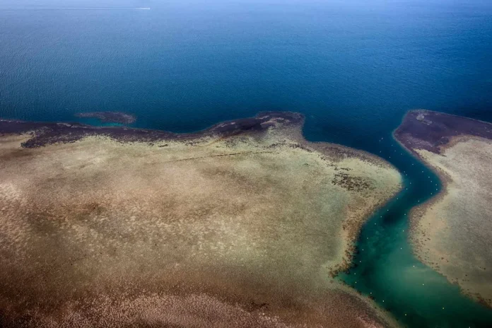 Një nga kontinentet e Tokës po çahet dhe mund të krijojë një oqean të ri